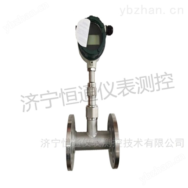 靶式流量计