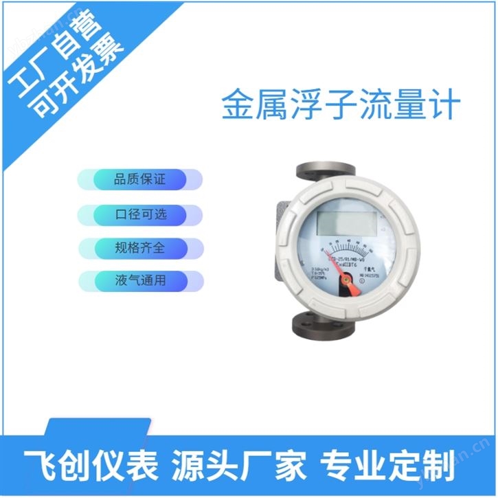 金属转子流量计