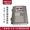 ​SA-Z720挂壁式振动监测仪
