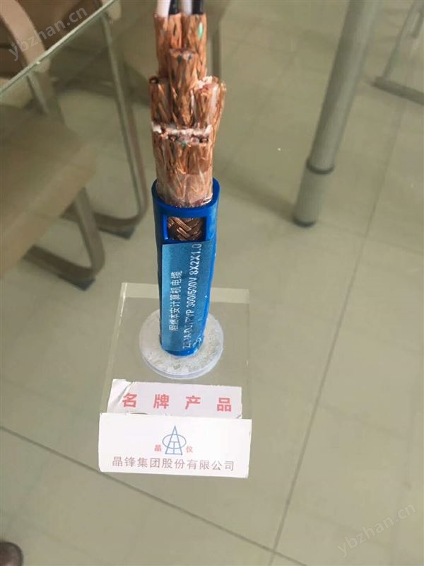 DJF46PF46P石油化工行业专用仪表电缆