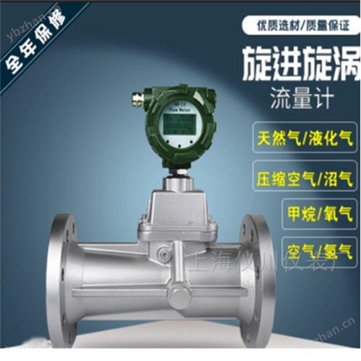 上海仪川旋进旋涡气体燃气流量计