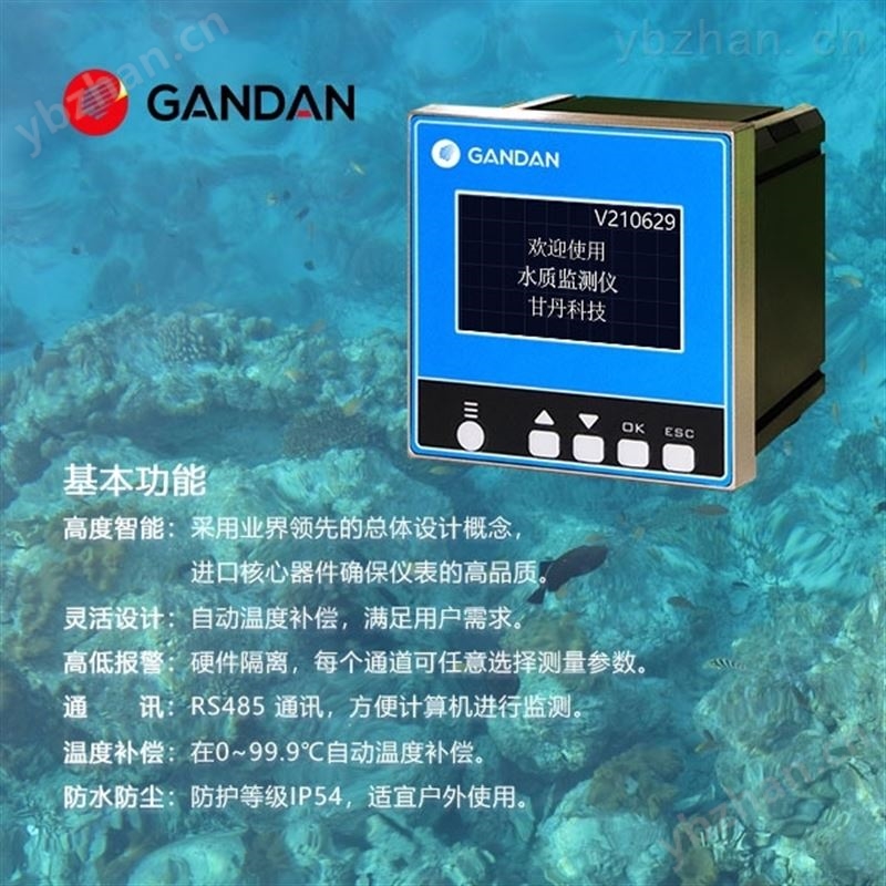 在线式溶解氧测定仪水质检测仪 溶解氧仪DO