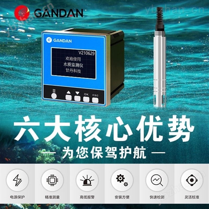 在线式溶解氧测定仪水质检测仪 溶解氧仪DO
