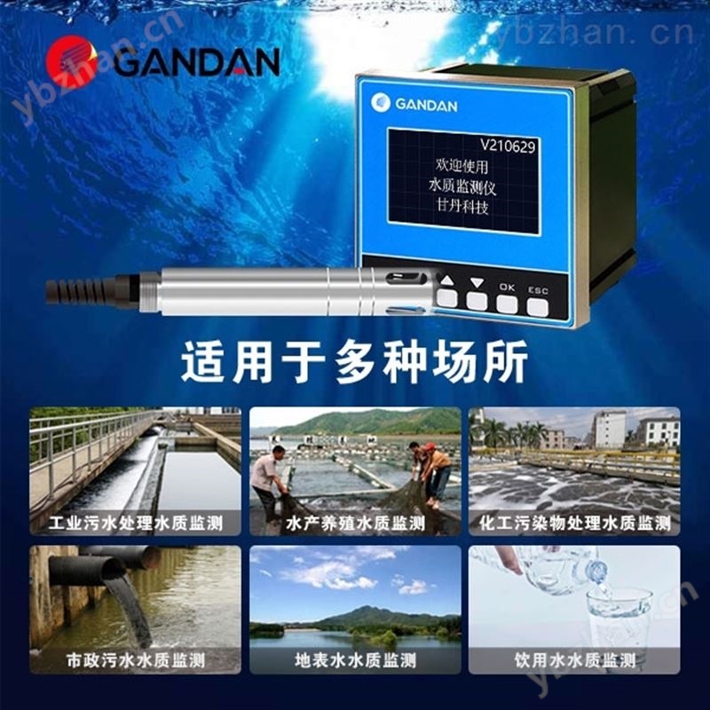 在线式溶解氧测定仪水质检测仪 溶解氧仪DO