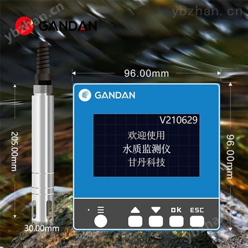 工业在线溶氧检测仪DO仪溶解氧测定仪