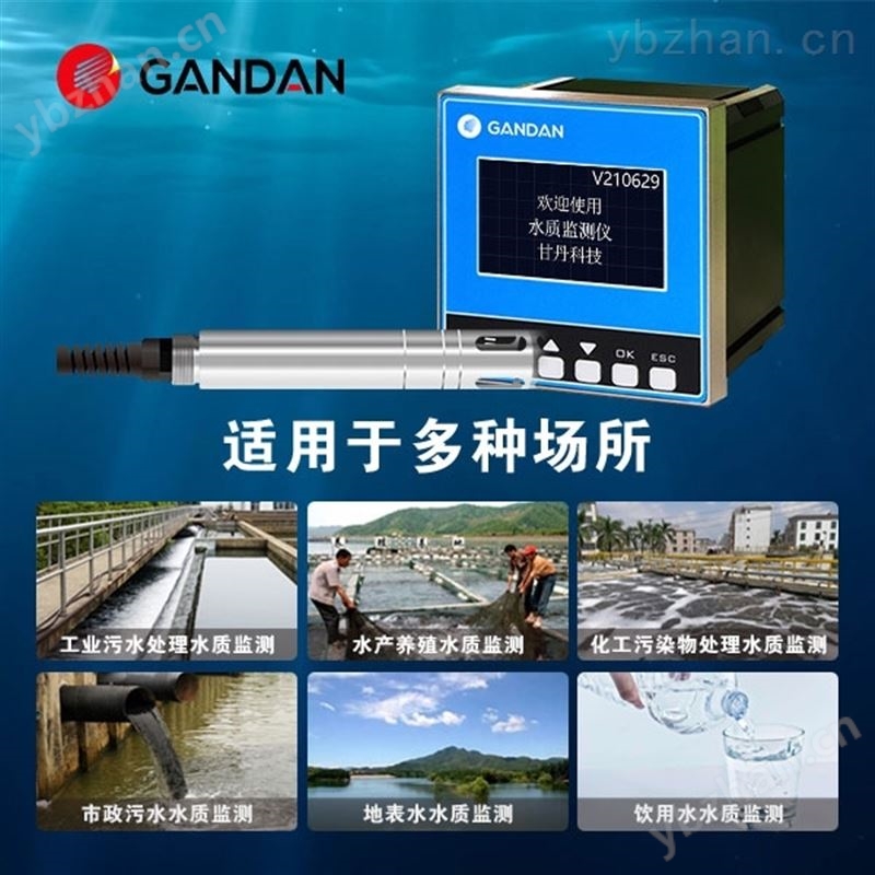 溶氧仪便携式溶解氧检测仪高精度测定仪