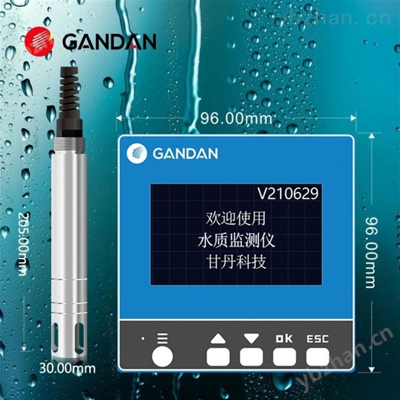 溶氧仪便携式溶解氧检测仪高精度测定仪