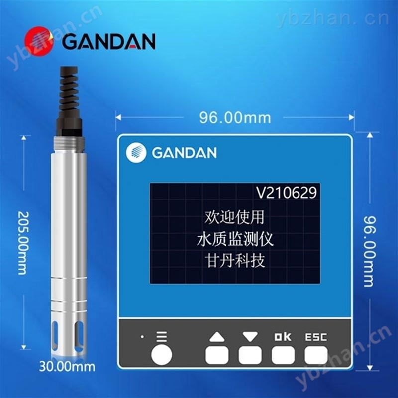 工业在线溶解氧测定仪 污水溶解氧分析仪