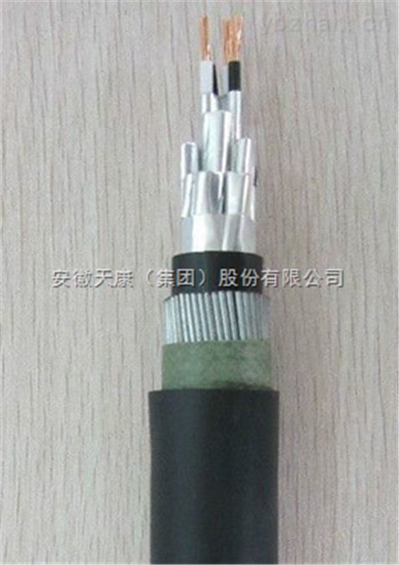安徽天康ZR-DJYP3VP3阻燃信号屏蔽电缆