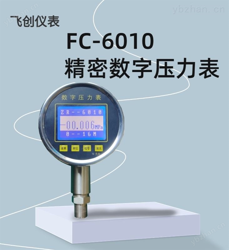 6010精密数字压力表