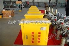 润丰供应RX-25/0.4Q燃气调压柜单元调压可悬挂安装-燃气调压器 燃气调压柜基础