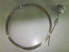 WZPK2-136PT100双支铠装热电阻