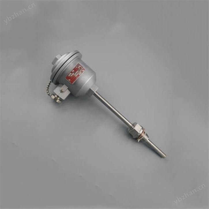 防爆温度变送器