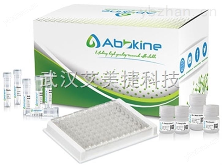妇女节*，Abbkine全线产品8折优惠 生化仪器