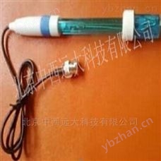E201-C-9复合电极