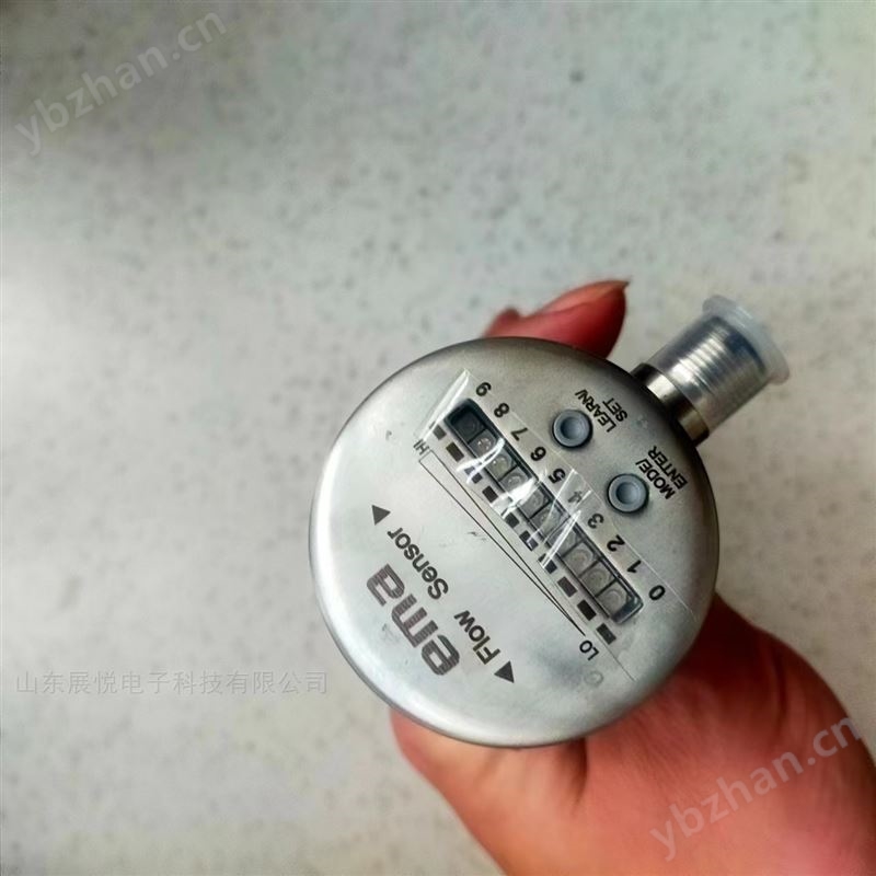 美国EMA伊玛FE60智能防爆型流量传感器
