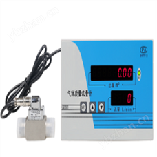 DP-200气体质量流量计