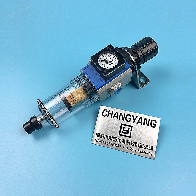 嵌入式压力表过滤减压器 常阳仪表