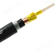 《铠装控制线》矿用控制电缆-MKVVP2-22