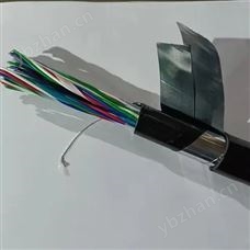 HYAT22铠装电话线示意图 HYAT22通讯电缆