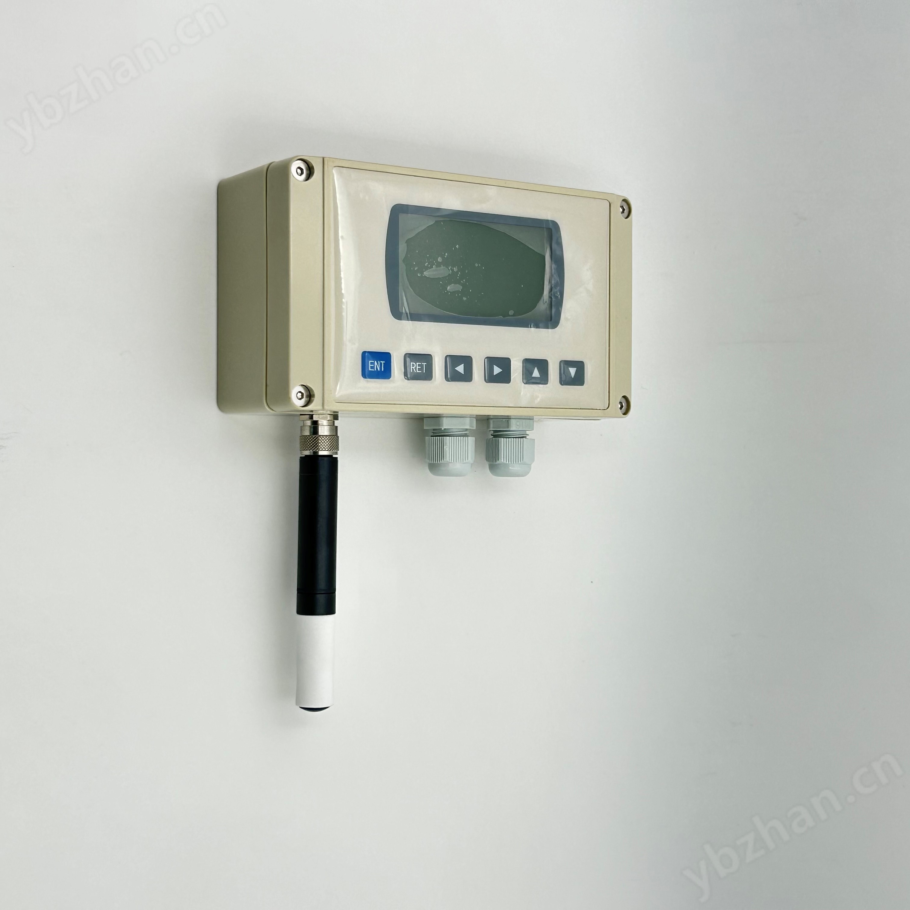 Rotronic标准温湿度探头