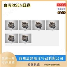 GPY9-11.9  GPY3-8外啮齿轮泵 中国台湾RISEN日森高压齿轮泵