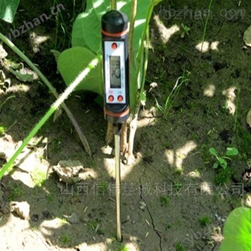 针式土壤温度计