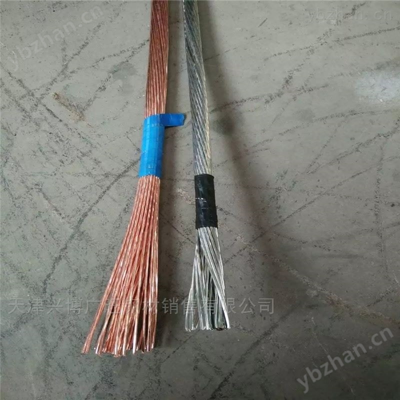 铜绞线木垒750千伏变电站接地 裸电线