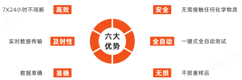 全自动在线元素载量分析仪