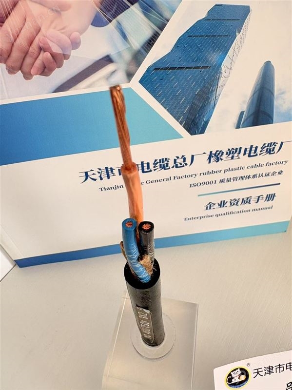 YC3*6重型橡套软电缆