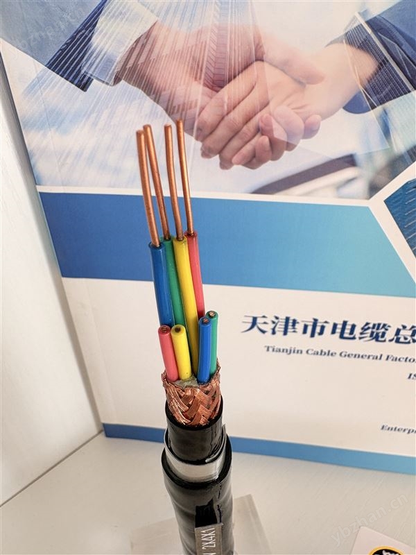 DJYVP总屏蔽计算机电缆