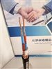 DJYVP总屏蔽计算机电缆