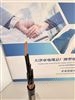 KVVP聚乙烯绝缘编织屏蔽控制电缆