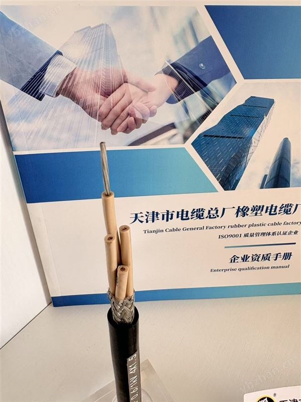 CEFR/SA船用电力软电缆