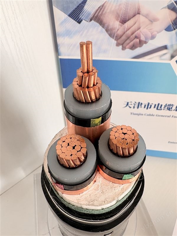 MYJV22煤矿用钢带铠装电力电缆