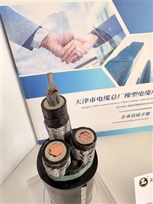 MYPT金属屏蔽橡套软电缆