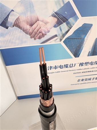 NH-KVVP22耐火钢带铠装控制电缆