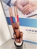 DJYPV分屏蔽计算机电缆