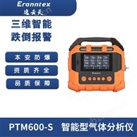 手提式智能型多功能气体分析仪