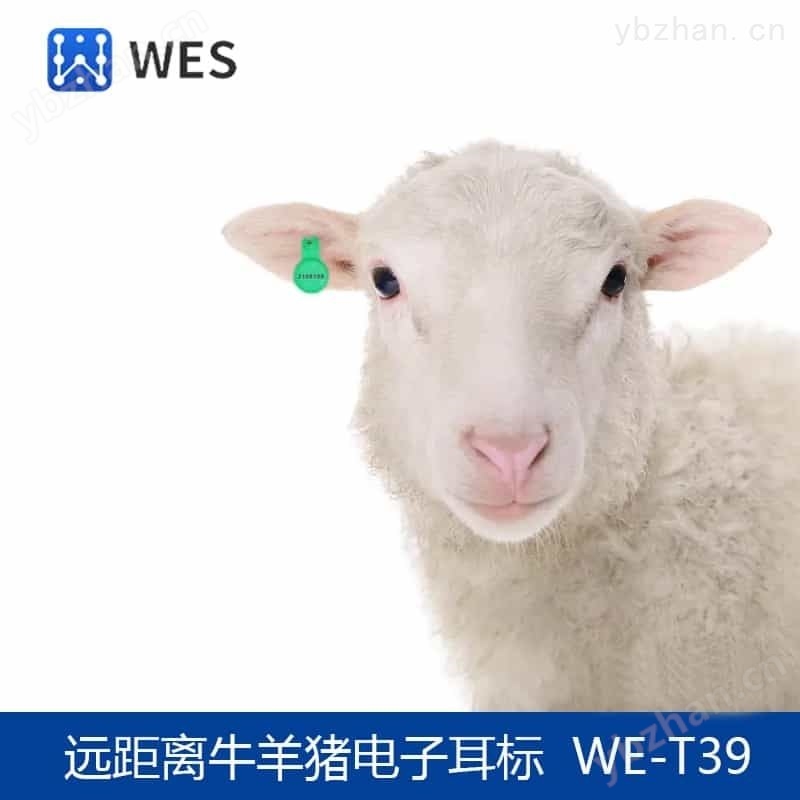 RFID电子标签猪牛羊电子耳标