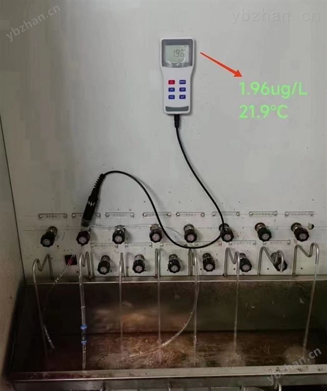除氧水低浓度溶解氧测定仪