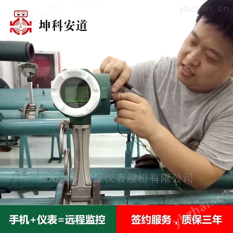 法兰型连接涡街流量计