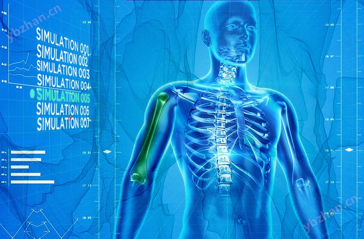 Real world human body simulation