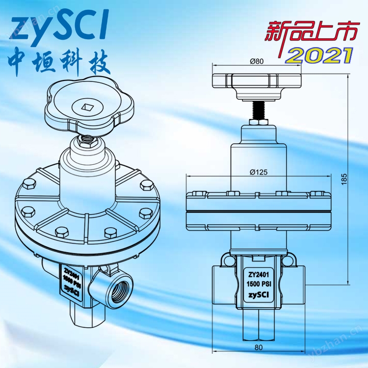 ZY2401气体精密减压阀调压器螺纹卡套法兰焊接连接-杭州中垣2021新款