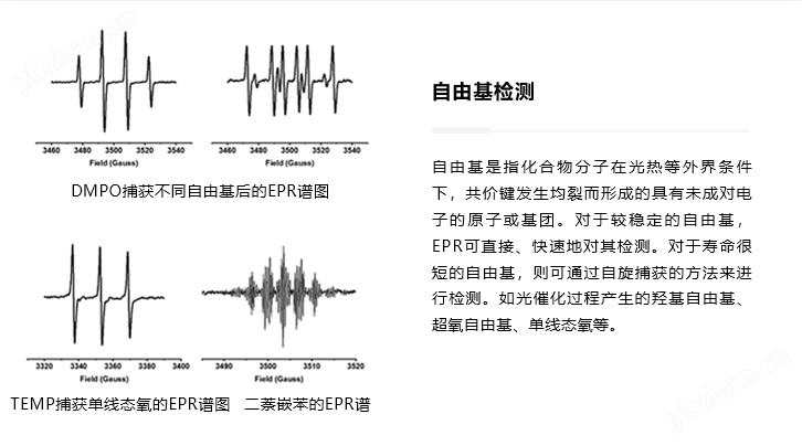 自由基检测.png