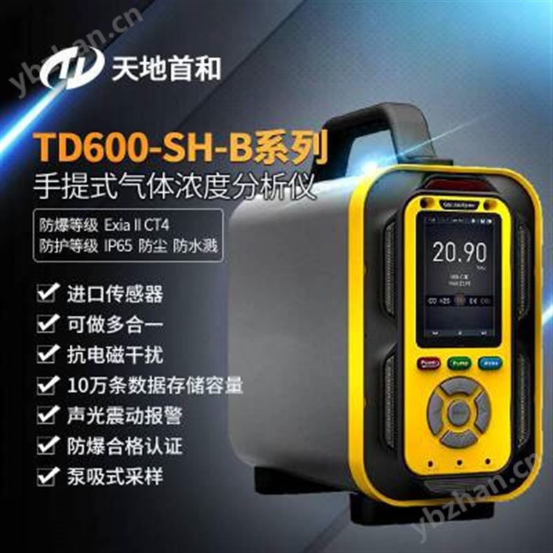 TD600-SH-B-NOx氮氧化物分析仪泵吸式采样可选配无线传输功能