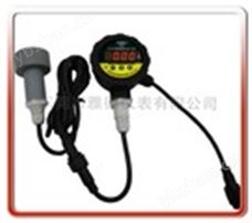 YDS1-RS485-PP011分体式径向智能通讯RS485数字压力表