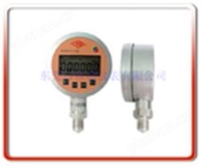 YDSX-016100MM精密数字压力表