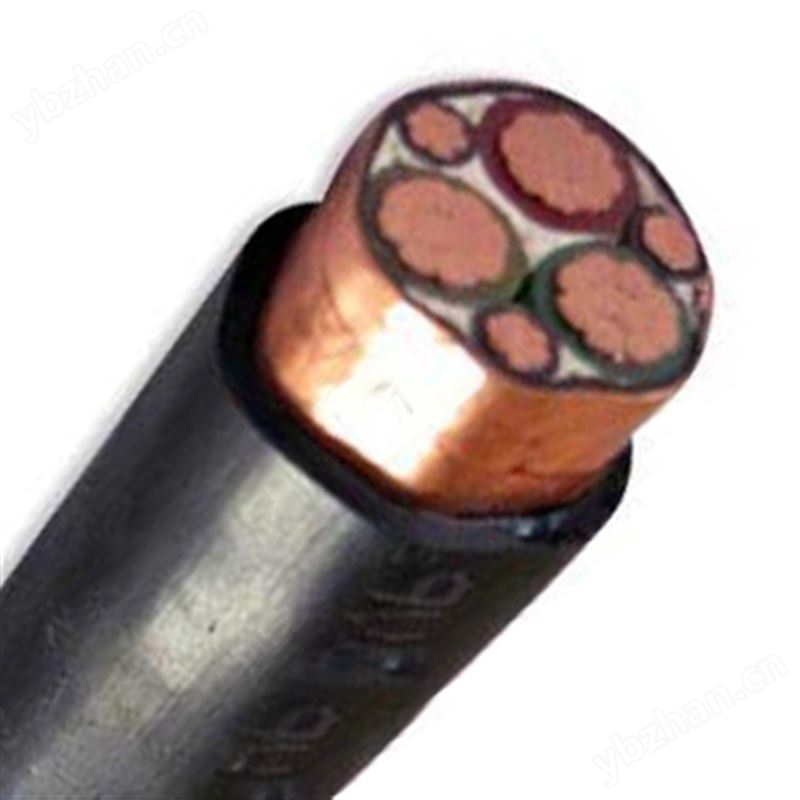 BPYJVPP2 BPVVPP3 变频器专用电缆