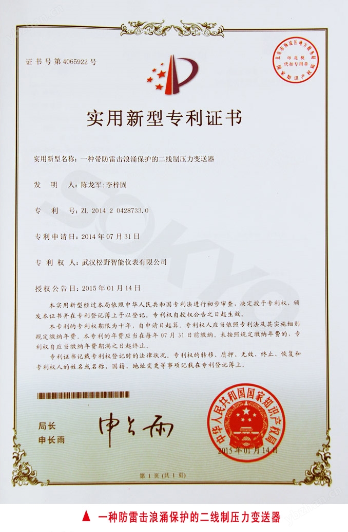 一种防雷击浪涌保护的二线制压力变送器 一种防雷击浪涌保护的二线制压力变送器